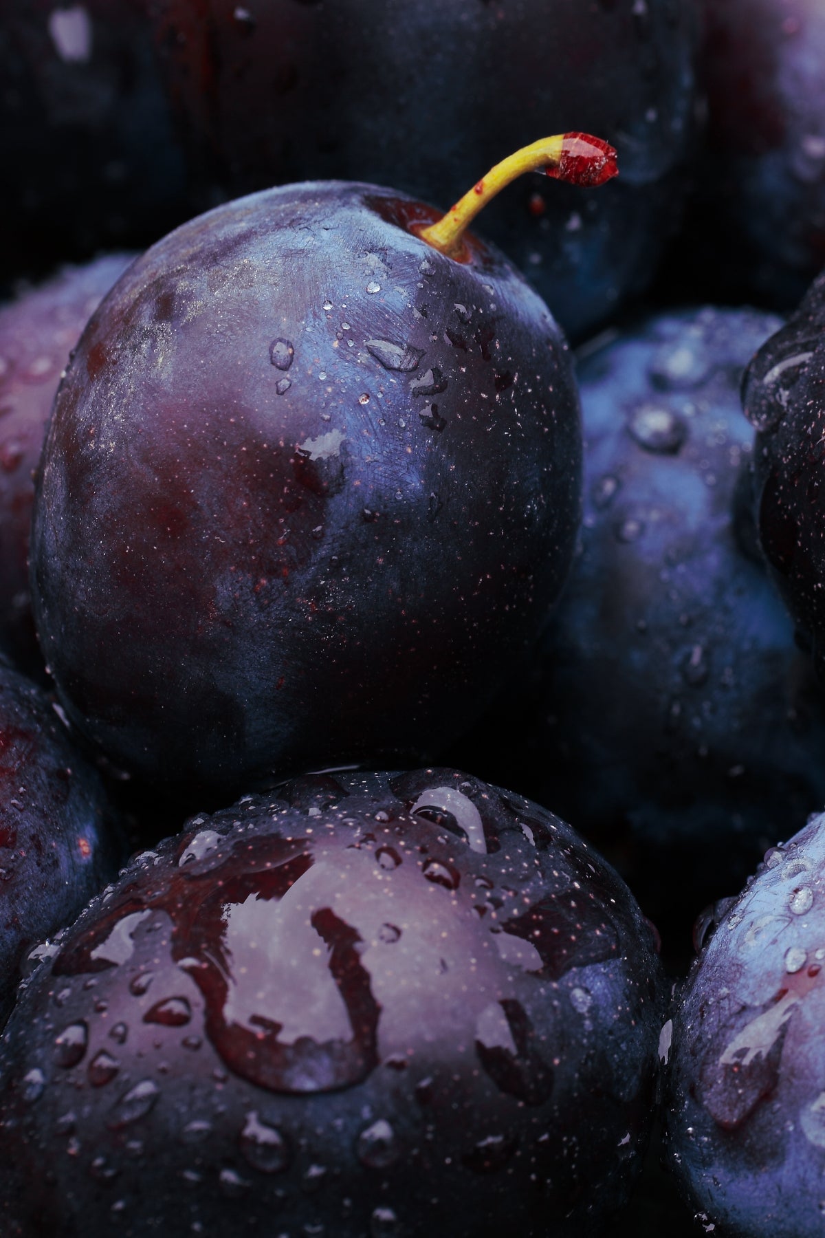 Nativa Spa Black Plum Body Oil 200ml