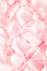 Nativa Spa Rose Body Lotion 400ml