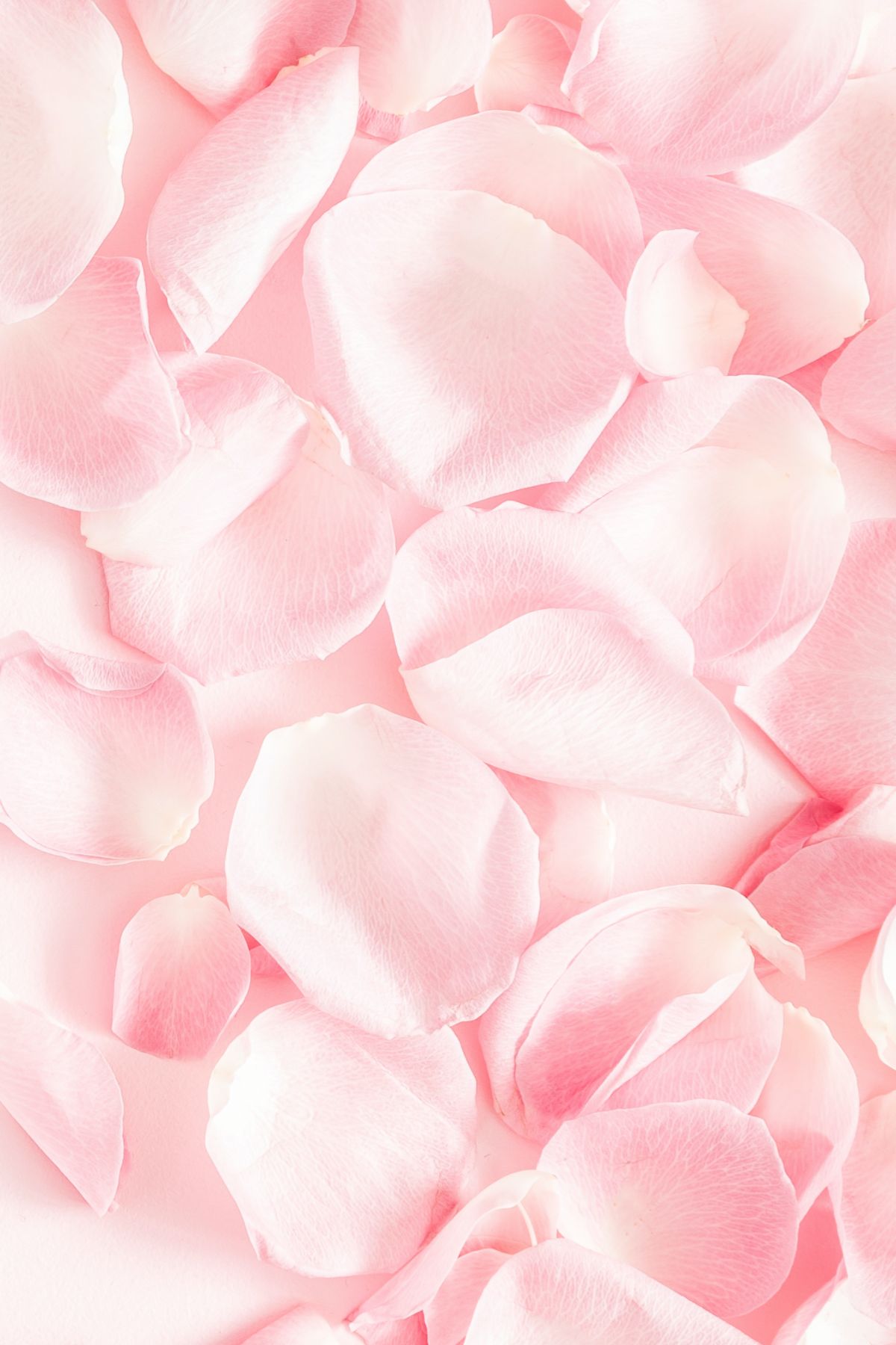 Nativa Spa Rose Body Lotion 400ml