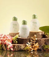 Mamae & Bebe Minis Trio Holiday Set