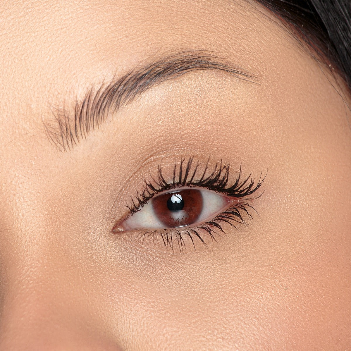 Bruna Tavares BT Browfix