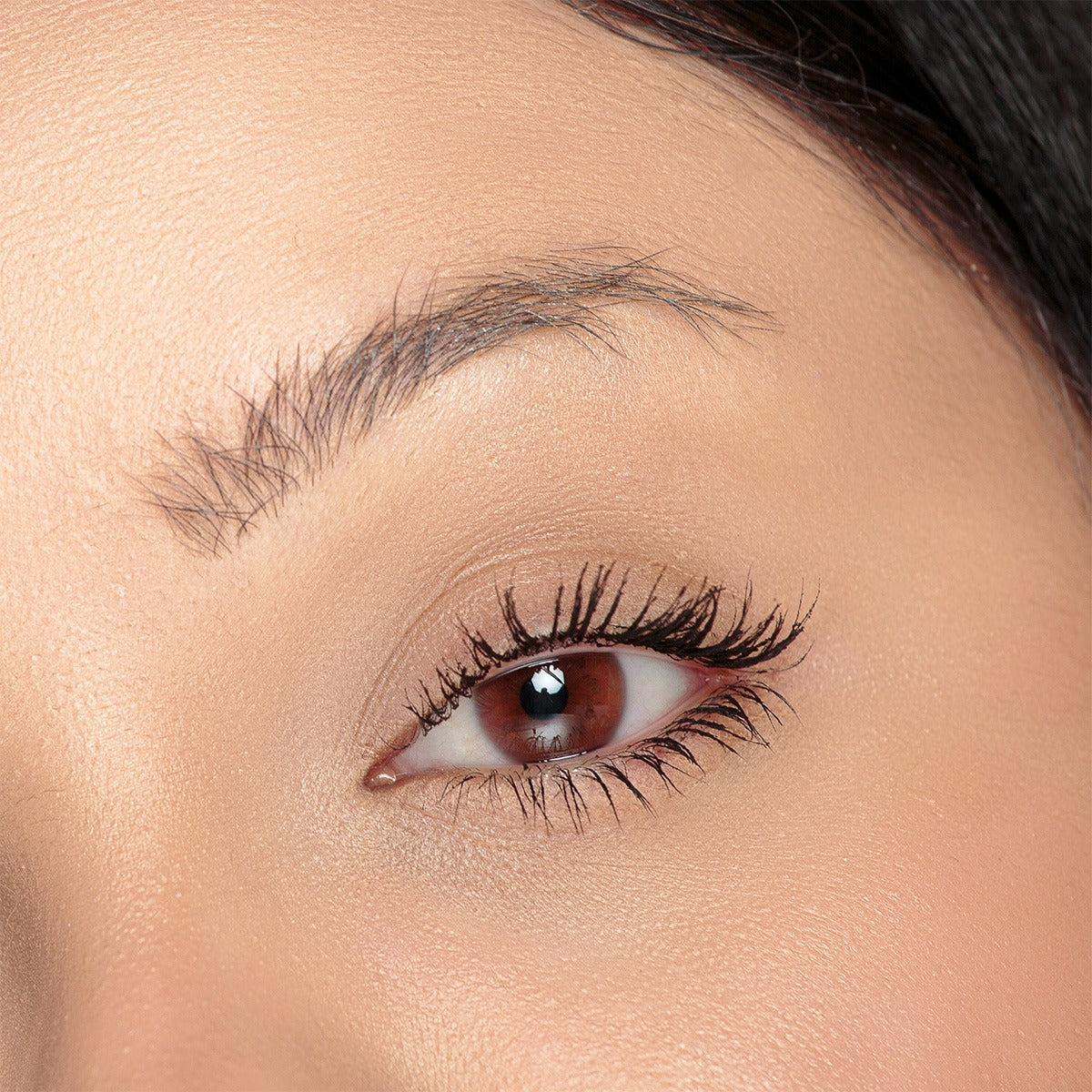 Bruna Tavares BT Browfix